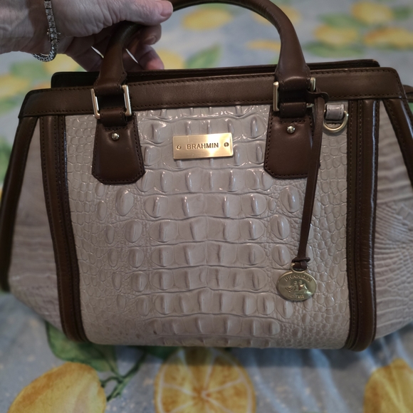Brahmin Tan and Brown Women's Bag - Picture 1 of 6